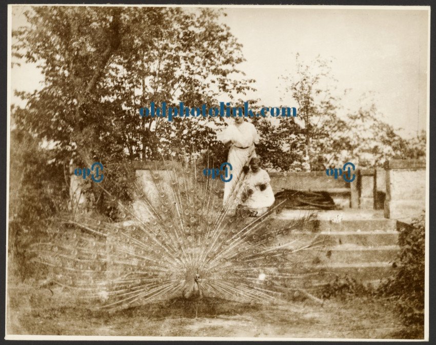 Mrs  Marie Mucchová with Daughter Jaroslava in the Park at Zbiroh, Bohemia 1913