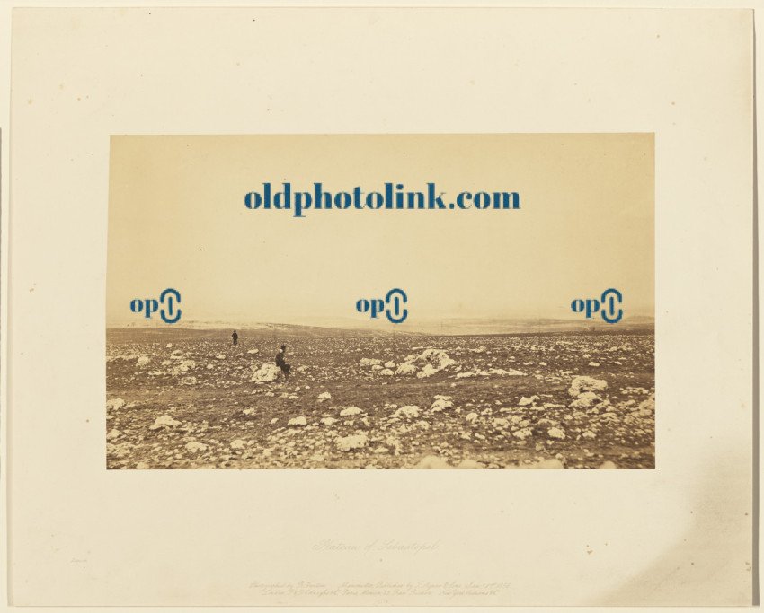 Plateau of Sebastopol IX  1855