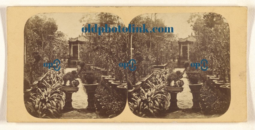Canton  General View of How Qua's Garden, with Plants Cut to Resemble Animals and Grotesque Figures   1850