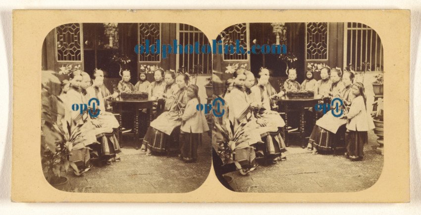 Canton. Group of Chinese Ladies of Distinction and Visitors taking Tea 1858
