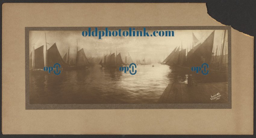 Sailboats in harbor 1901