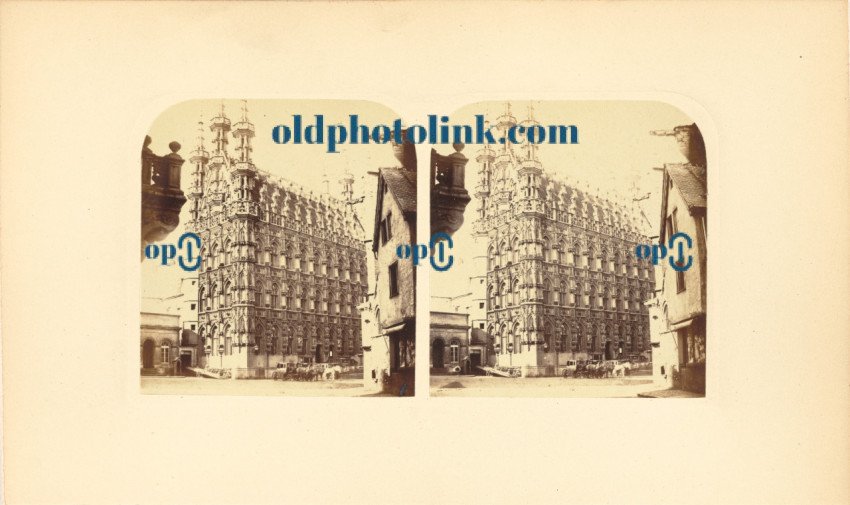 Hotel de Ville, Louvain 1859