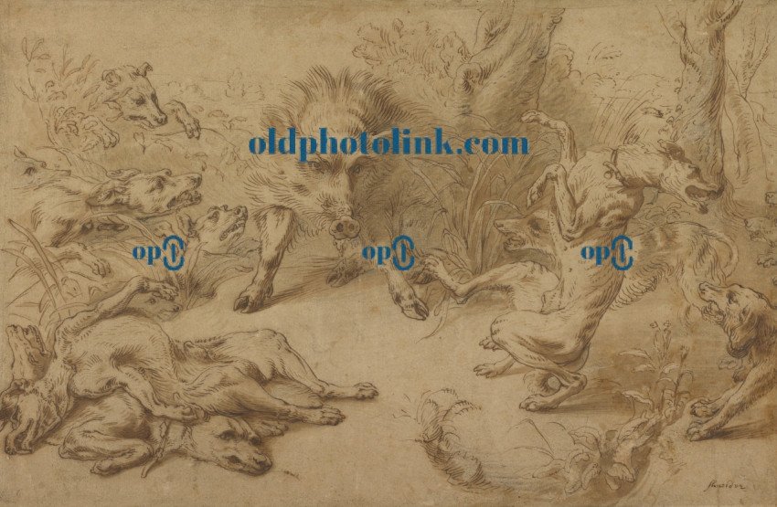 A Wild Boar at Bay 1620