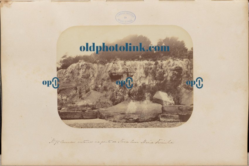 Cretaceous layers in the Nova Cruz bridge Maria Farinha 1875