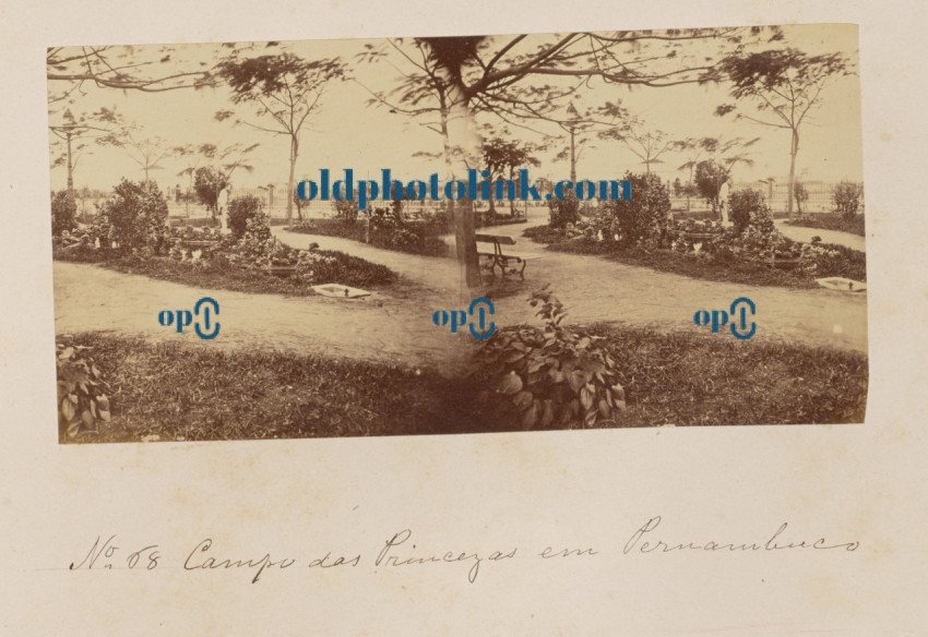 Field of the Princesses in Pernambuco 1875