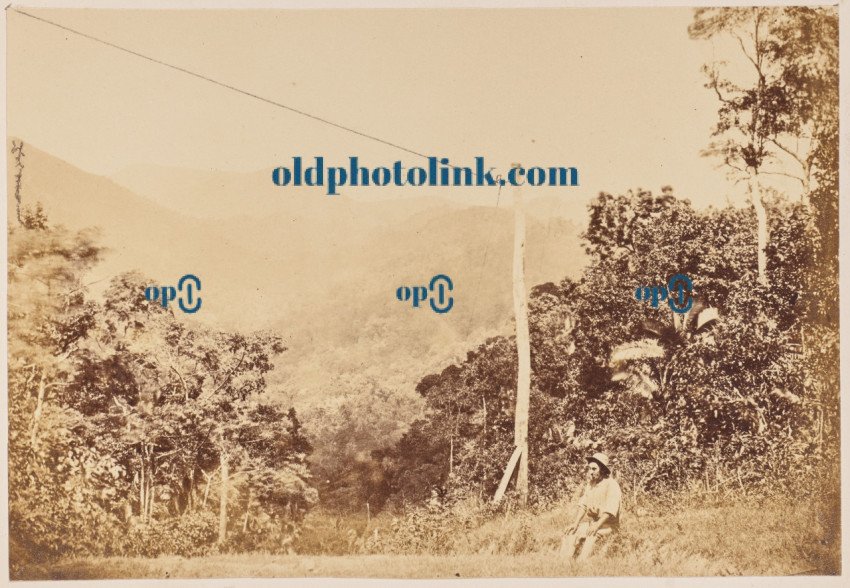 Dalrymple Gap, Queensland 1860