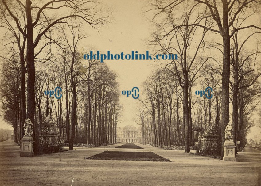 View down tree lined path towards palace 1860