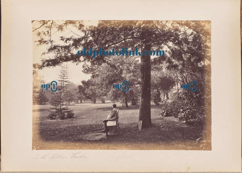 In the Botanic Garden 1860