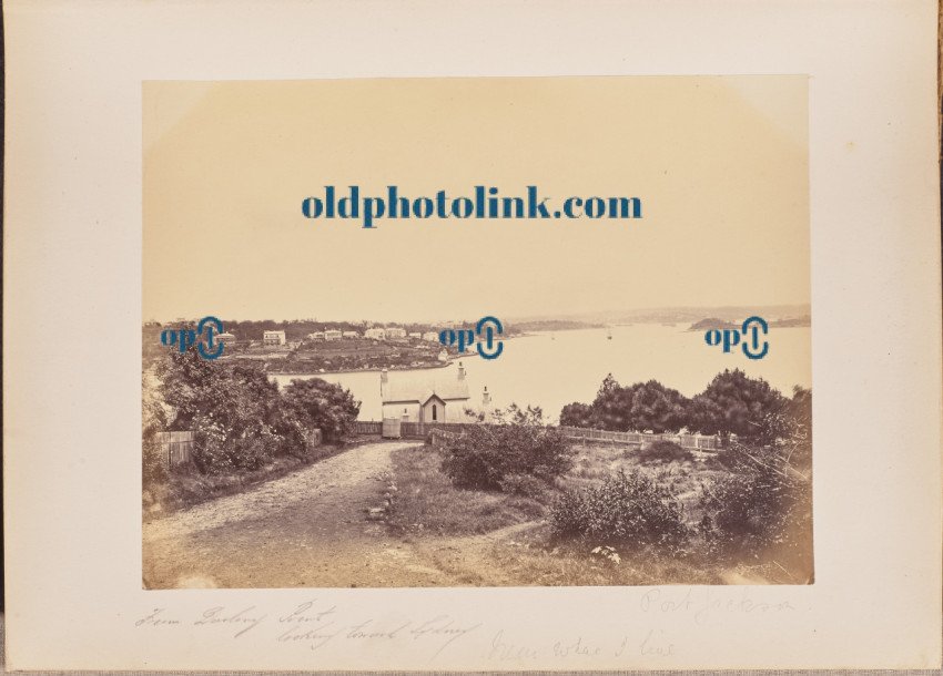 From Darling Point looking toward Sydney 1860
