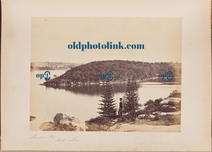 Berrys Bay, North Shore 1860