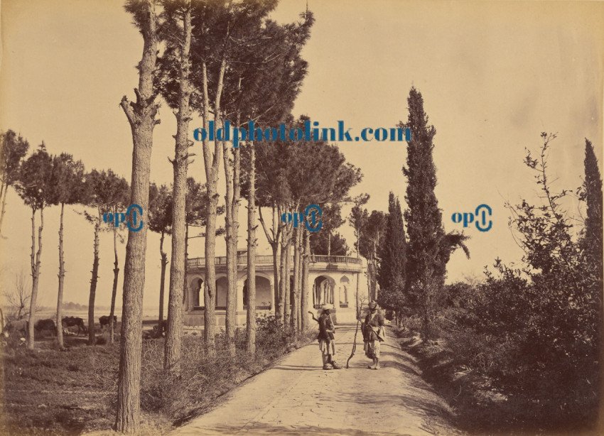 The Amir's Garden, from side walk 1878