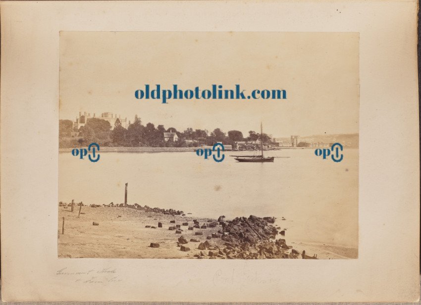 Government House and Farm Cove 1860