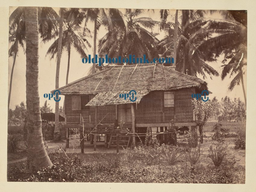 House on stilts 1850
