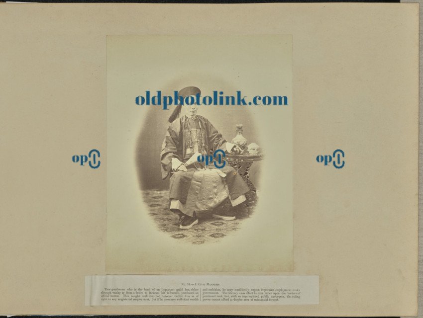 A civil mandarin  1860-1890