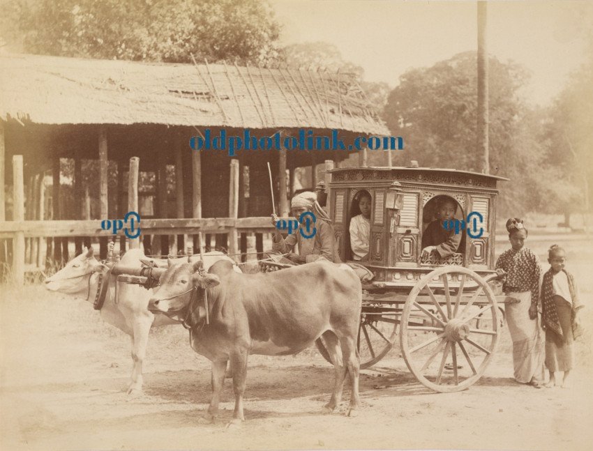 Burmese Public Carriage 1888